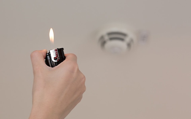 Baulicher Brandschutz bei ElektroService Rainer Thodte GmbH in Halle (Saale)